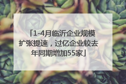 1-4月临沂企业规模扩张提速，过亿企业较去年同期增加55家