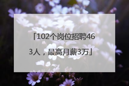 102个岗位招聘463人，最高月薪3万