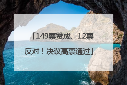 149票赞成、12票反对！决议高票通过
