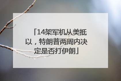 14架军机从美抵以，特朗普两周内决定是否打伊朗
