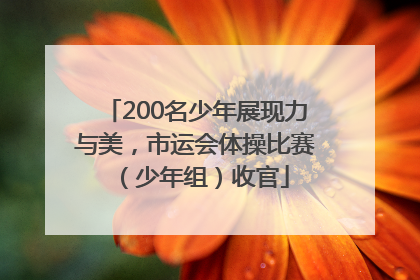200名少年展现力与美，市运会体操比赛（少年组）收官