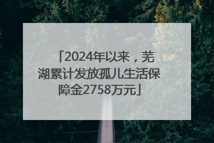 2024年以来，芜湖累计发放孤儿生活保障金2758万元
