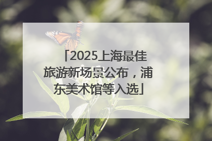 2025上海最佳旅游新场景公布，浦东美术馆等入选