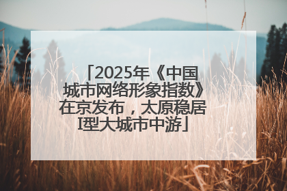 2025年《中国城市网络形象指数》在京发布，太原稳居I型大城市中游