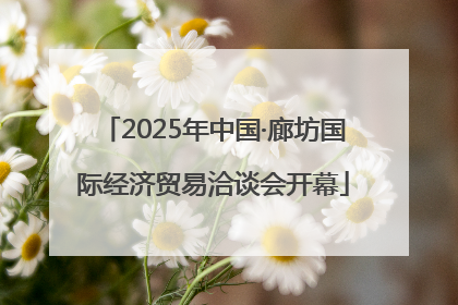 2025年中国·廊坊国际经济贸易洽谈会开幕