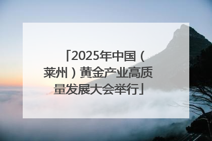 2025年中国（莱州）黄金产业高质量发展大会举行