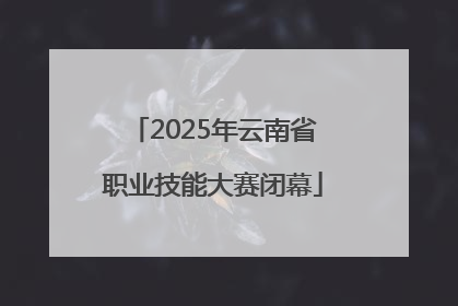 2025年云南省职业技能大赛闭幕