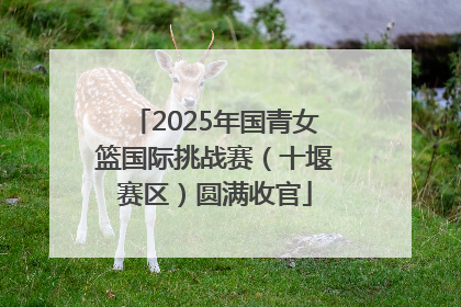 2025年国青女篮国际挑战赛（十堰赛区）圆满收官