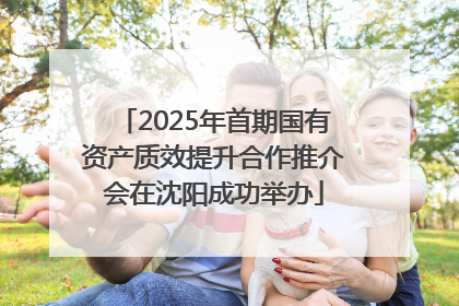 2025年首期国有资产质效提升合作推介会在沈阳成功举办