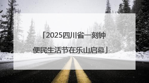 2025四川省一刻钟便民生活节在乐山启幕