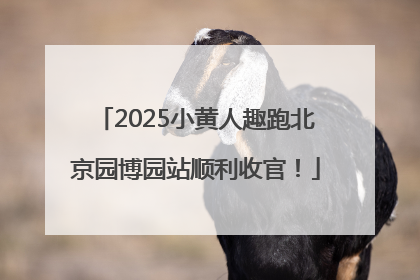 2025小黄人趣跑北京园博园站顺利收官！