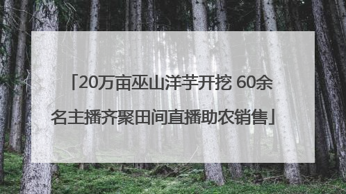 20万亩巫山洋芋开挖 60余名主播齐聚田间直播助农销售