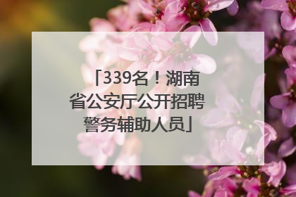 339名！湖南省公安厅公开招聘警务辅助人员
