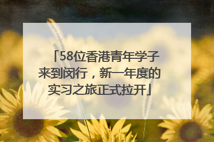 58位香港青年学子来到闵行，新一年度的实习之旅正式拉开