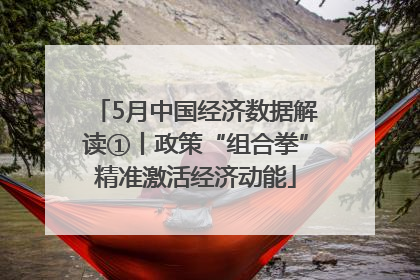 5月中国经济数据解读①丨政策“组合拳”精准激活经济动能