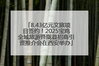 8.43亿元文旅项目签约！2025宝鸡全域旅游暨陇县招商引资推介会在西安举办