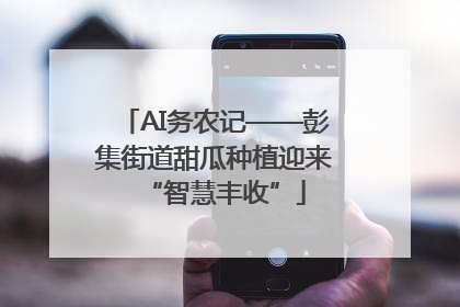 AI务农记——彭集街道甜瓜种植迎来“智慧丰收”