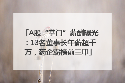 A股“掌门”薪酬曝光：13名董事长年薪超千万，药企霸榜前三甲