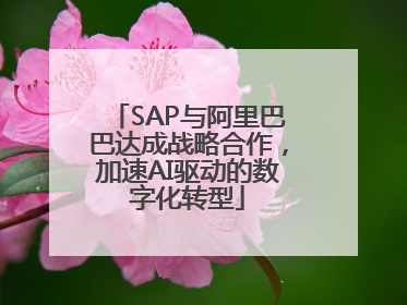 SAP与阿里巴巴达成战略合作，加速AI驱动的数字化转型
