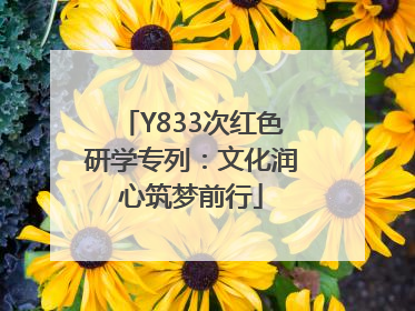 Y833次红色研学专列：文化润心筑梦前行